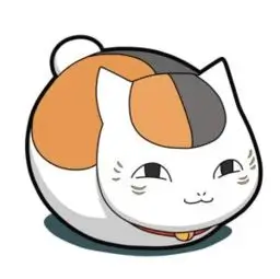 读者夜航西飞头像